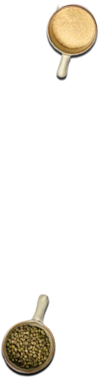 Island Catering Singapore