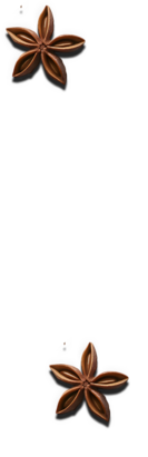 Island Catering Singapore